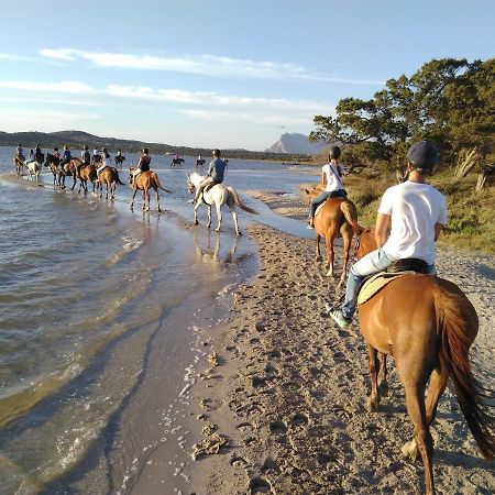 Appartamento Sette Posti Vicino Al Centro Di San Teodoro ซาน เตโอโดโร ภายนอก รูปภาพ