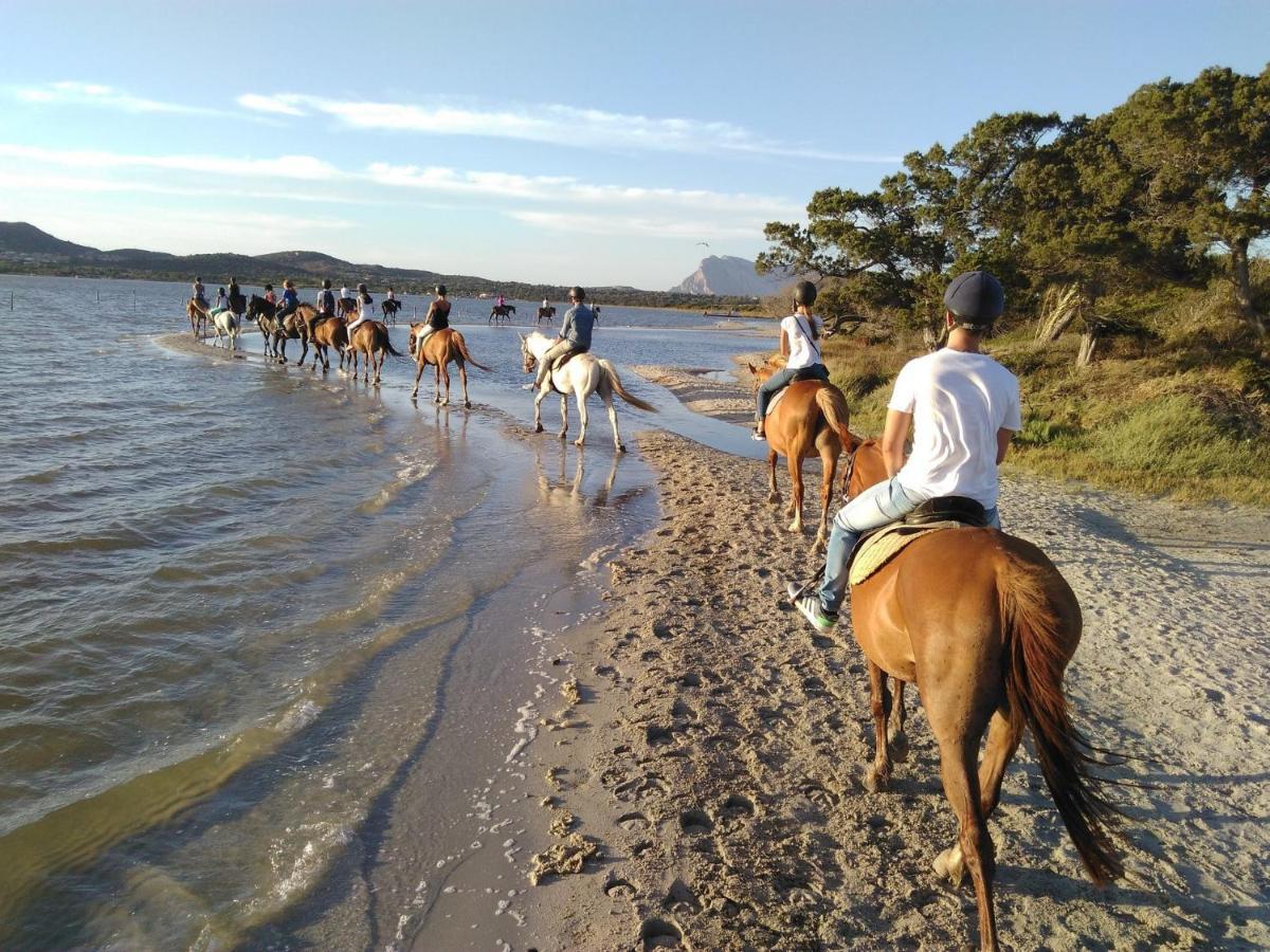 Appartamento Sette Posti Vicino Al Centro Di San Teodoro ซาน เตโอโดโร ภายนอก รูปภาพ